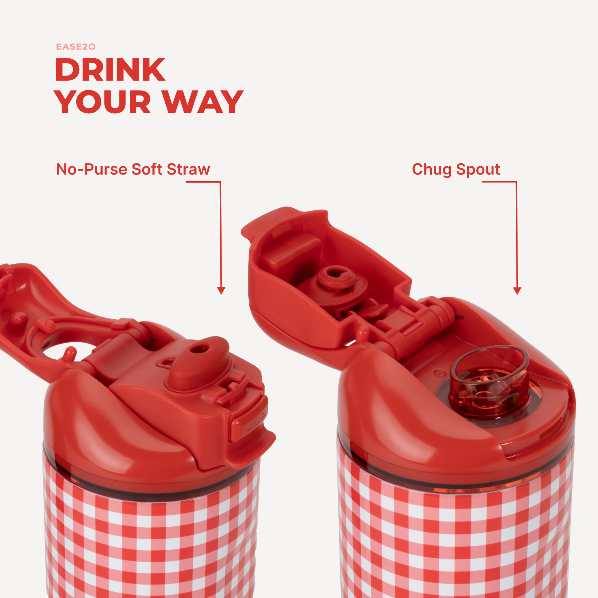 summer-picnic-r8 Ease14-SummerPicnic-3WPI.png
