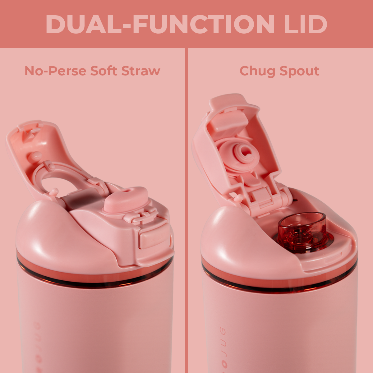 tulip-v6 Ease24-Tulip-WPI-5_03266151-0c72-40ea-9c67-8295e8926f23.png