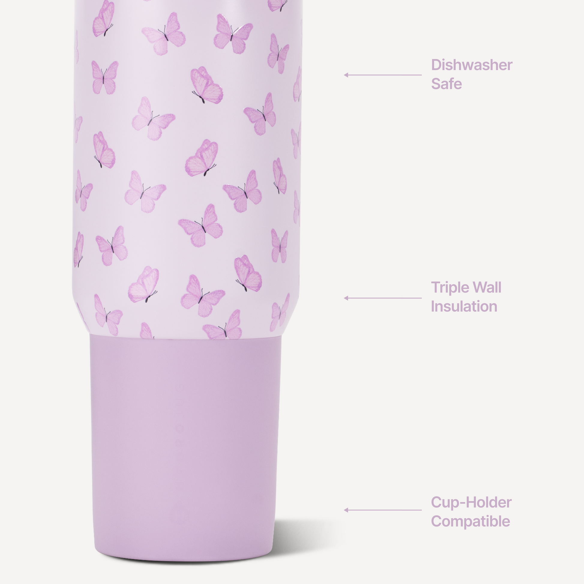 flutter-t3 Sport20-Flutter-3-WPI.png
