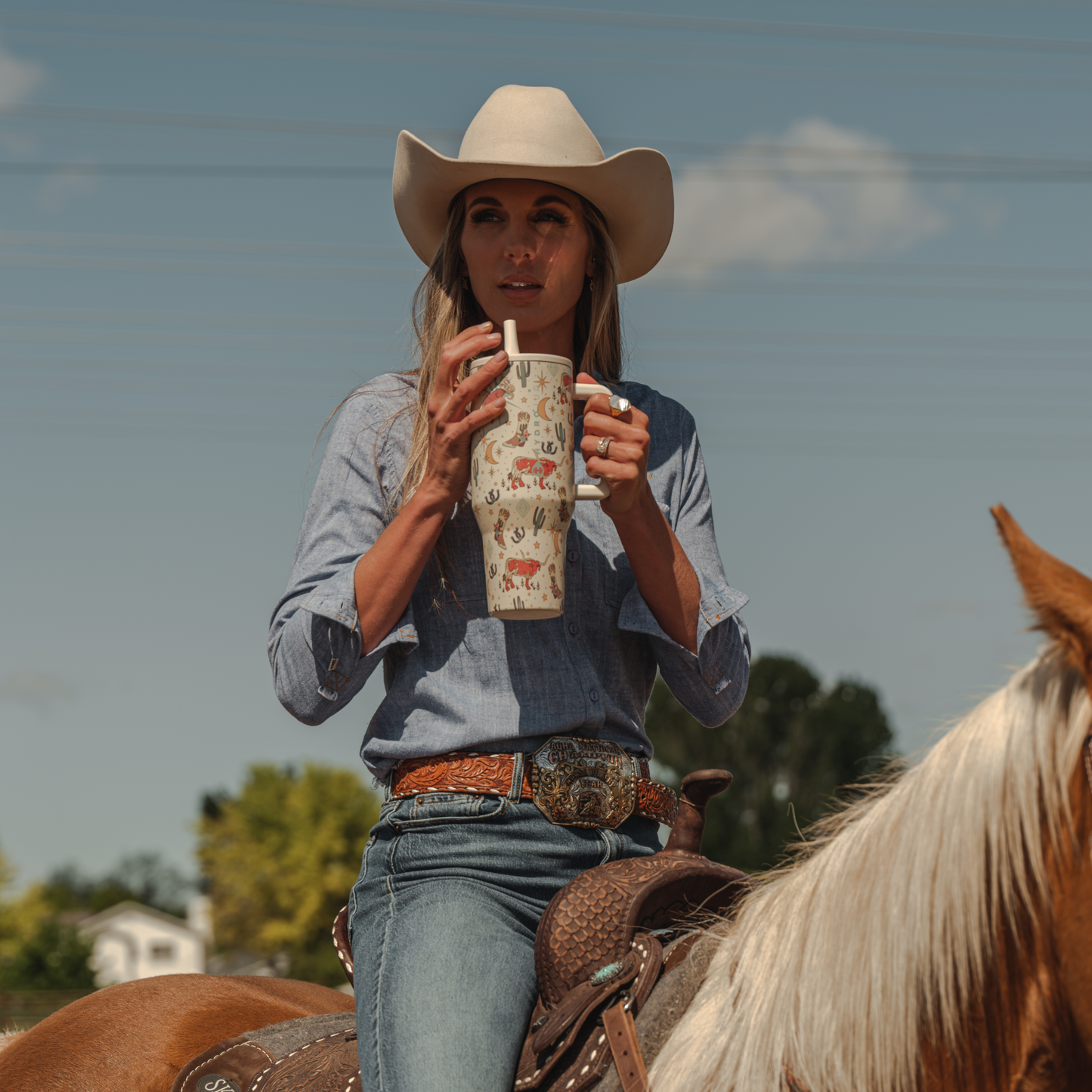 rodeo-n2 TRVL-Rodeo-6WPI.png