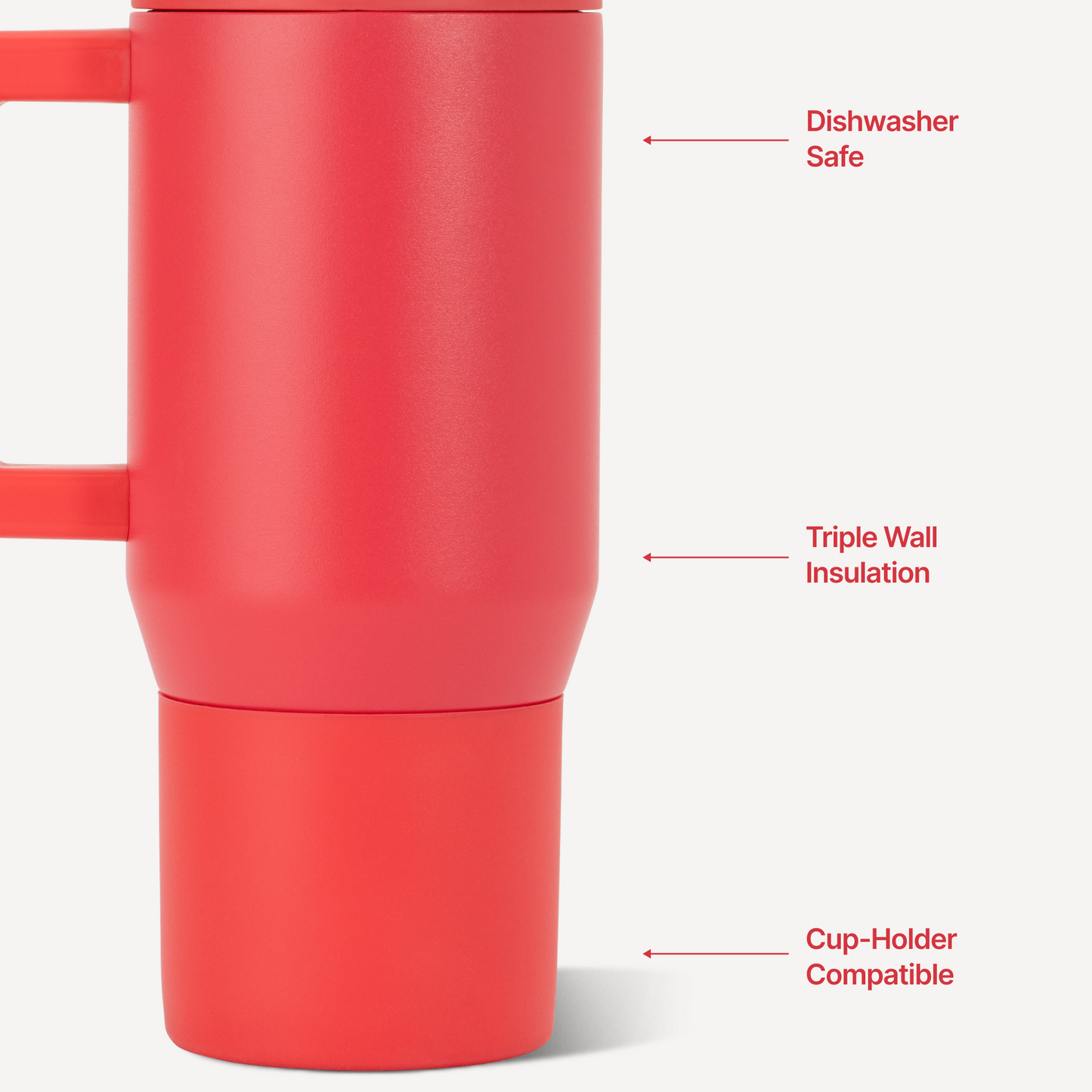 fruit-punch-d6 TRVL20-FruitPunch-3-WPI.png